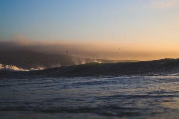 Advanced Analytics Dashboard